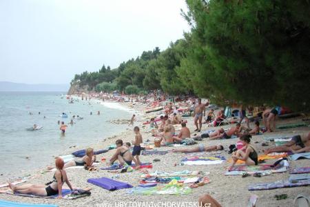 Apartmaji Gojko Ajduk foto 3