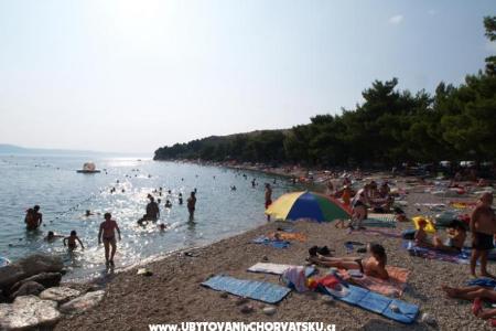 Apartmaji Gabrić foto 4