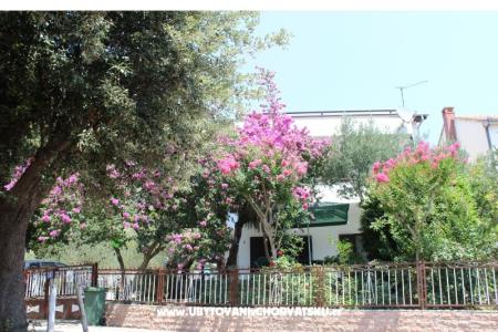 Apartmaji Vila Filipovic foto 2