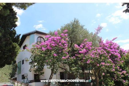 Apartmaji Vila Filipovic foto 3