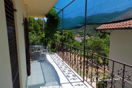 Apartmaji Dalmatin foto 3