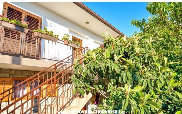 Apartmaji Jadranka  - apartmaji Bibinje Hrvaška