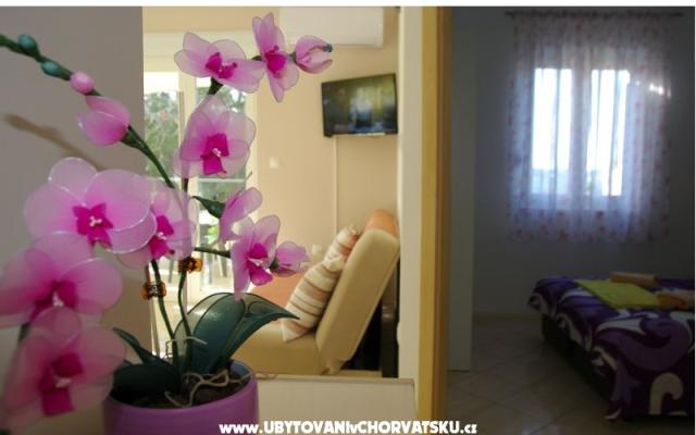 Apartmaji Lovre - apartmaji Bibinje Hrvaška