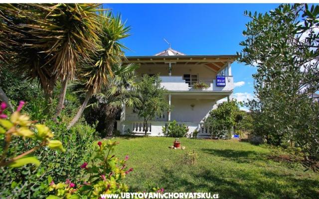Apartmaji NICOL - apartmaji Bibinje Hrvaška