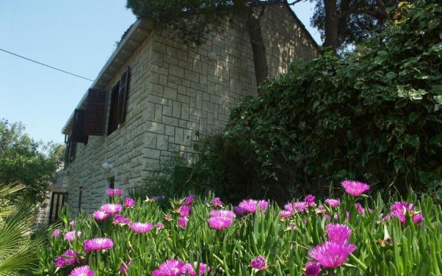 Villa Santa Lucia - apartmaji otok Brač Hrvaška