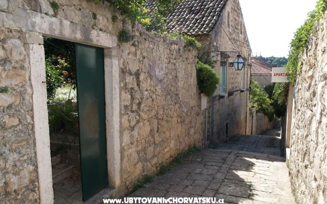 Apartma Milu - apartmaji Cavtat Hrvaška