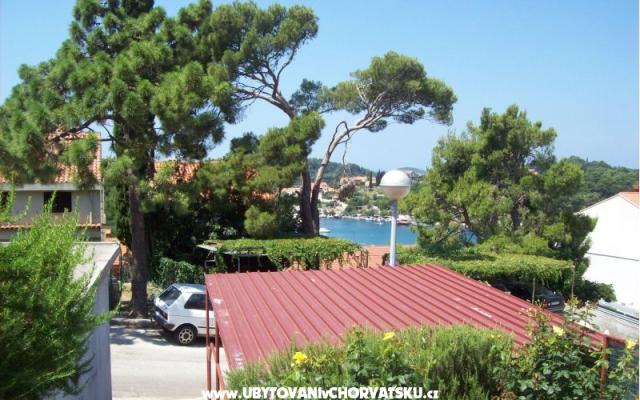 Apartma Stjepko - apartmaji Cavtat Hrvaška