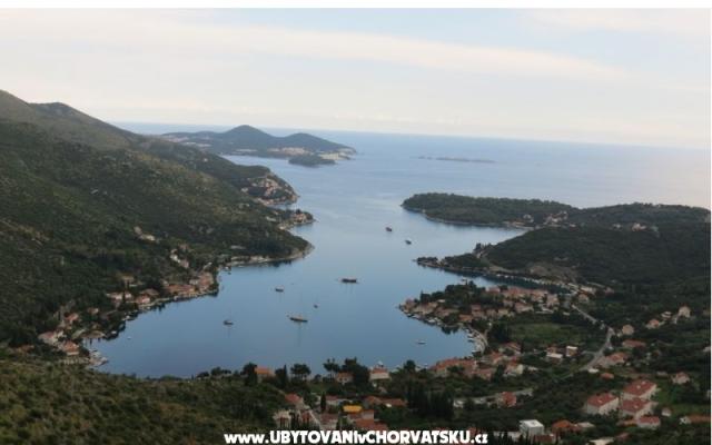 Apartma Markovic - apartmaji Dubrovnik Hrvaška