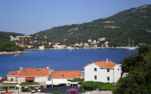 Villa Doris Apartmaji - apartmaji Dubrovnik Hrvaška