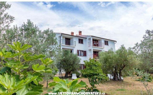 Apartmaji Amalia Fažana - apartmaji Fažana Hrvaška