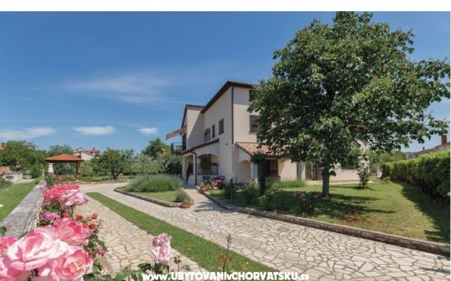 Apartma NIKOLIC - apartmaji Fažana Hrvaška