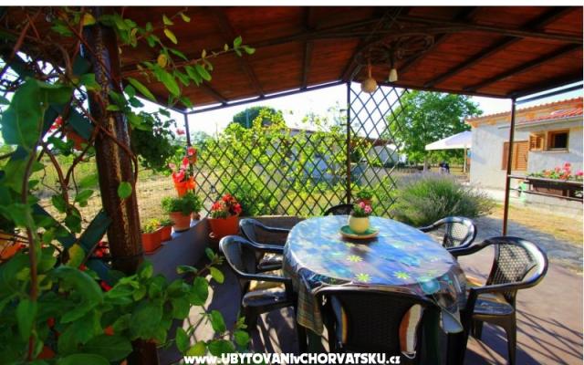 Apartma Sandra  - apartmaji Fažana Hrvaška
