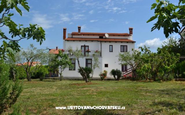Vila Nona Ivka - apartmaji Fažana Hrvaška