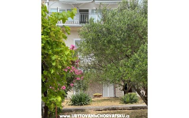 Apartmaji Maslina - apartmaji Sv. Filip i Jakov Hrvaška