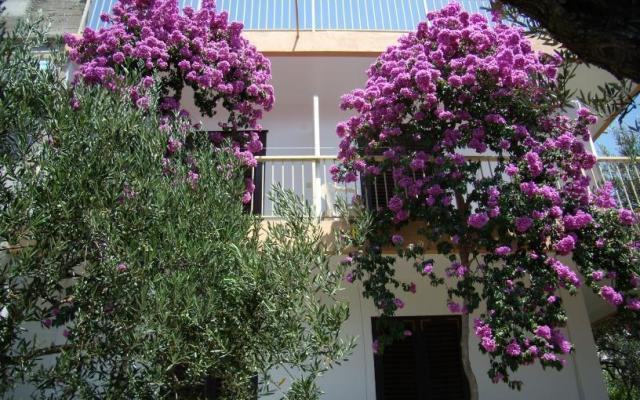 Apartma Gradac Falak - apartmaji Gradac – Podaca Hrvaška