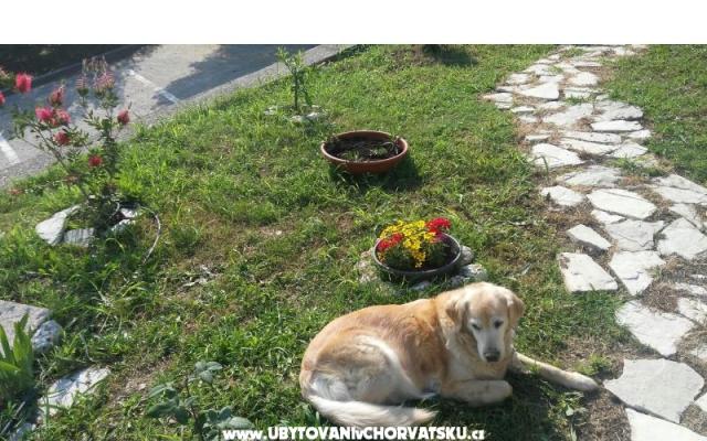 Mini Kamp Podaca - apartmaji Gradac – Podaca Hrvaška