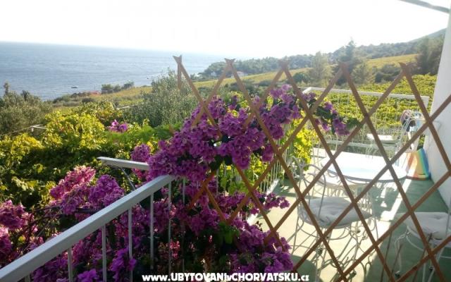ART AND NATURE  - apartmaji otok Hvar Hrvaška
