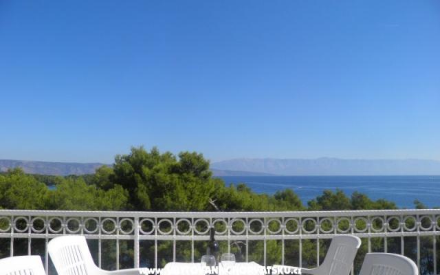 Apartmaji Martin Reljanović - apartmaji otok Hvar Hrvaška
