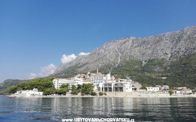 Apartmaji Ribica 1 - apartmaji Igrane Hrvaška