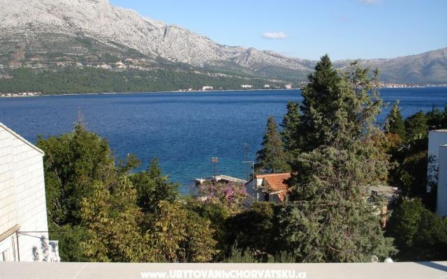 Apartmaji Ankica - apartmaji Korčula Hrvaška