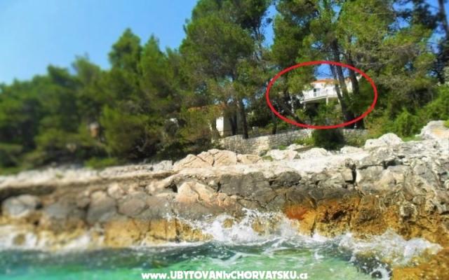 Apartmaji Marica P. - apartmaji Korčula Hrvaška
