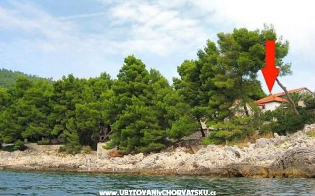 Počitniški dom Villa Antea - apartmaji Korčula Hrvaška