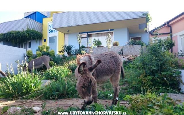 Villa Suzi - apartmaji Kraljevica Hrvaška
