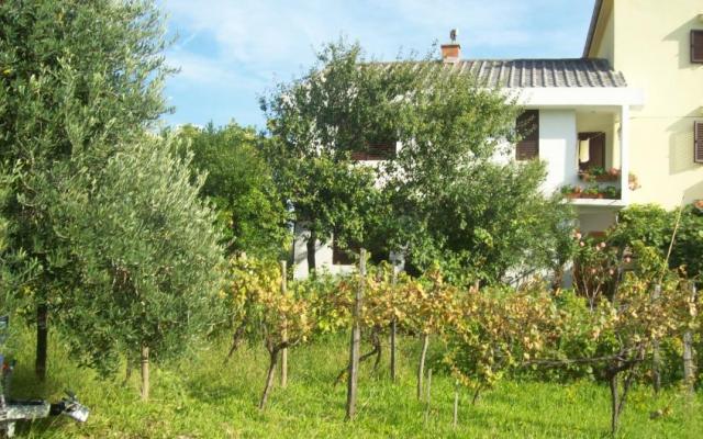 Apartmaji Vasilić - apartmaji otok Krk Hrvaška
