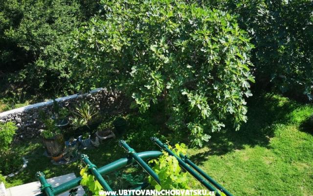 Apartmaji Garden paradise - apartmaji Makarska Hrvaška