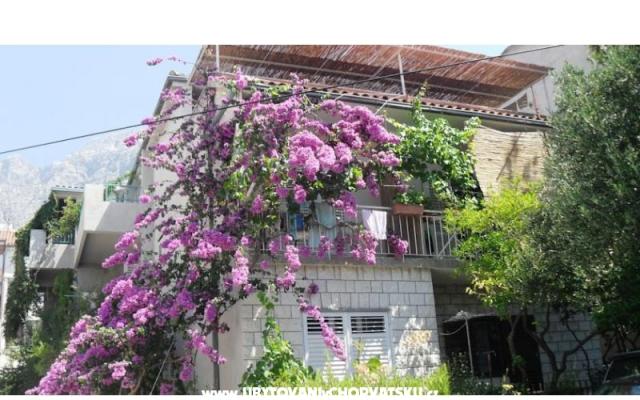 Apartmaji KATE - apartmaji Makarska Hrvaška