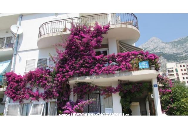 Apartmaji ANTE - apartmaji Makarska Hrvaška