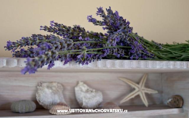 Apartma Villa Merara - apartmaji Marina - Trogir Hrvaška