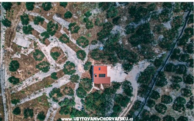 Green Hiša (Dogs are welcome) - apartmaji Marina - Trogir Hrvaška