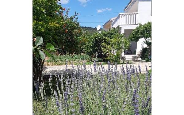 Slavko Šain - apartmaji Marina - Trogir Hrvaška