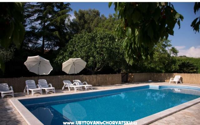 Sanja Apartmaji Novigrad - apartmaji Novigrad Hrvaška