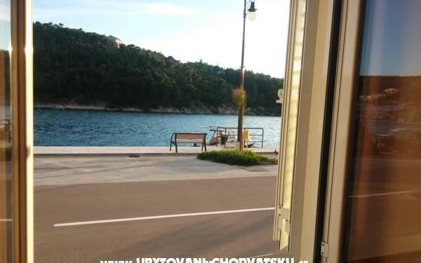 Sea View Apartma Dino - apartmaji Novigrad Hrvaška