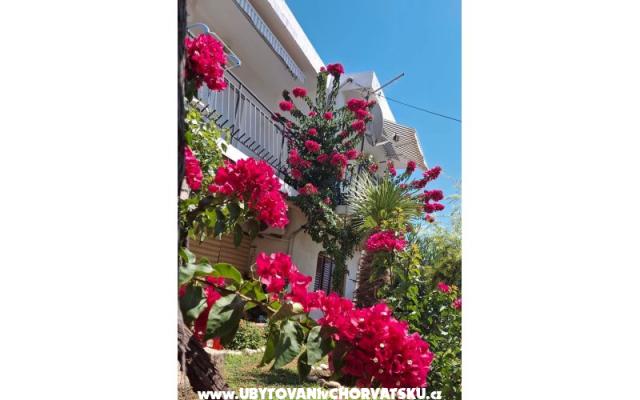 Apartmaji Sokolić - apartmaji Novi Vinodolski Hrvaška