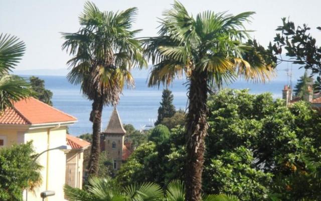 Apartma Kamelija - apartmaji Opatija Hrvaška