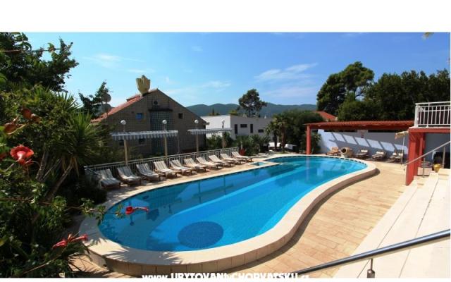 Apartmaji Villa Mediterrane - apartmaji Orebić - Pelješac Hrvaška