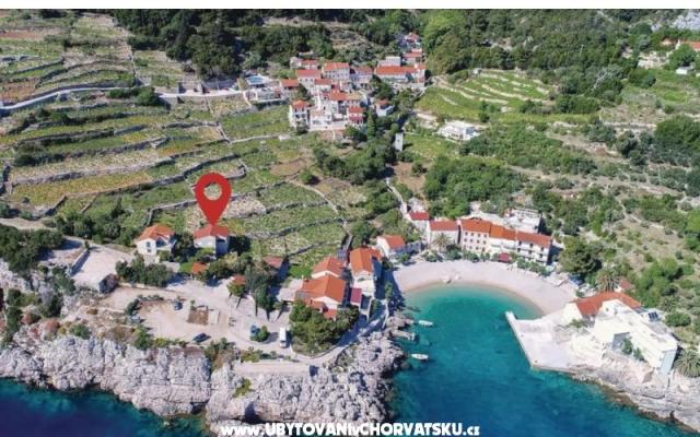 Two olive trees - apartmaji Orebić - Pelješac Hrvaška