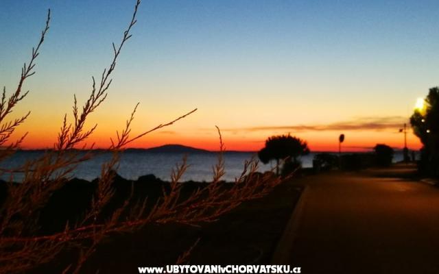 Apartmaji Elenor - apartmaji otok Pag Hrvaška