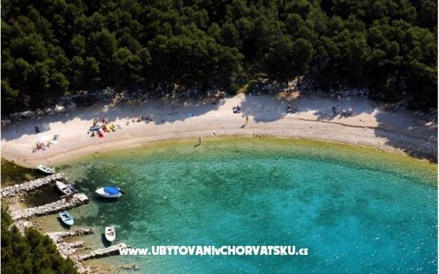 Apartmaji Drage - apartmaji Pakoštane Hrvaška