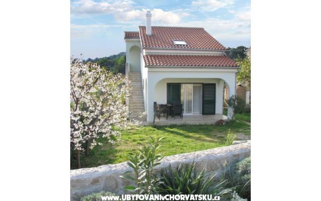 Apartma Niko - apartmaji otok Pašman Hrvaška