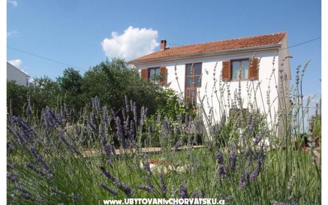 Apartmaji Blazenka - apartmaji otok Pašman Hrvaška
