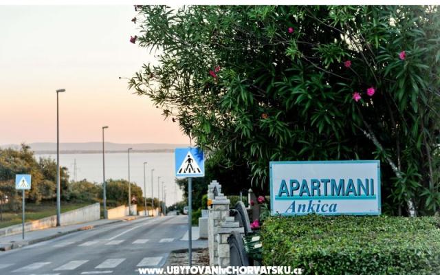 Apartmaji Ankica - apartmaji Petrčane Hrvaška