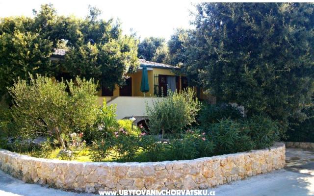 Apartmaji Dani - apartmaji Petrčane Hrvaška