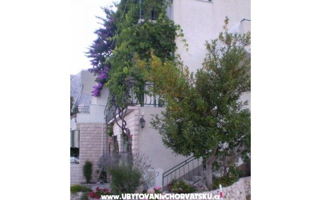 Apartmaji Antonela - apartmaji Podgora Hrvaška