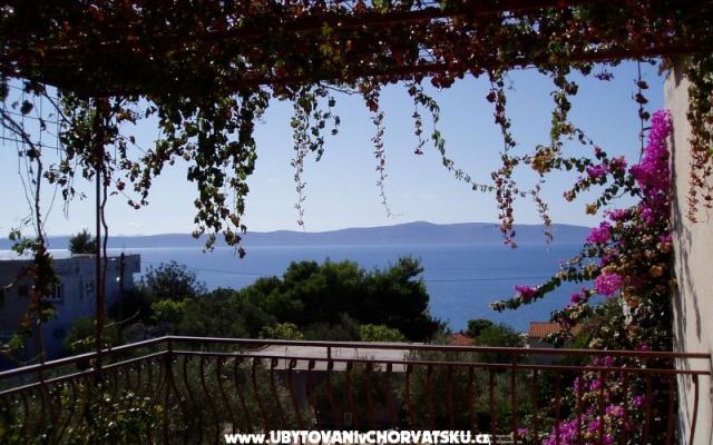 Apartma Vito - apartmaji Podgora Hrvaška