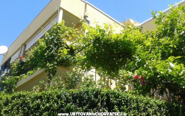 Villa Buvinic - apartmaji Podgora Hrvaška