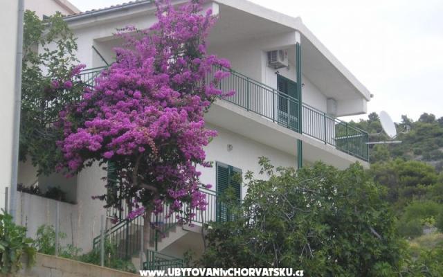 Apartmaji Neva - apartmaji Primošten Hrvaška
